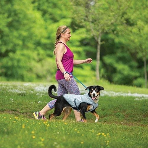 Kurgo Core Cooling Vest šaldanti liemenė šunims, Small, Mėlyna
