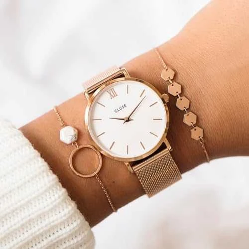 Laikrodis Watches CLUSE Watches CW0101203001