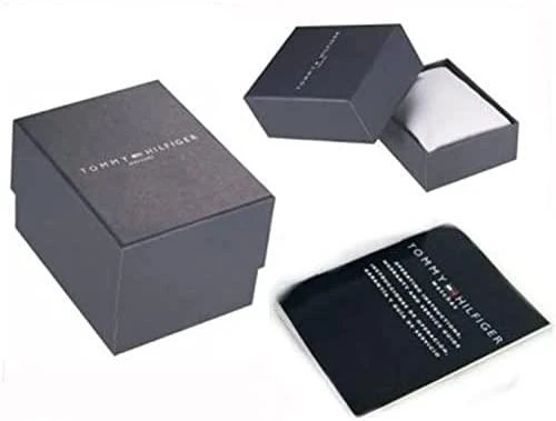Vyriškas laikrodis TOMMY HILFIGER 1791122 (zf067a)
