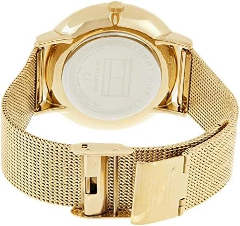 Moteriškas laikrodis TOMMY HILFIGER JENNA (zf509b)
