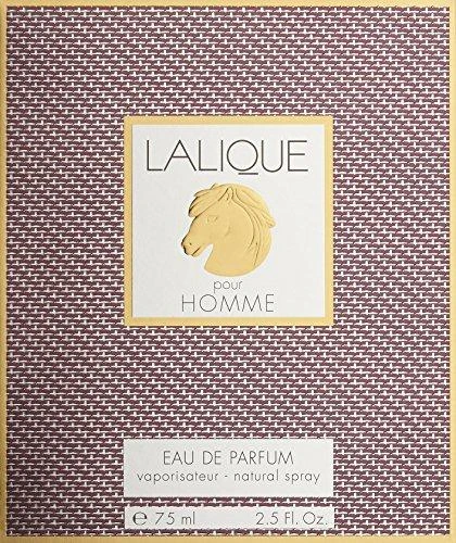 Lalique Pour Homme Equus for Men (Kvepalai Vyrams) EDP 75ml