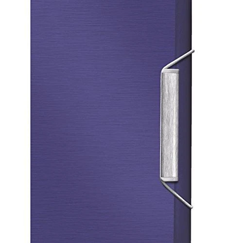 Violetinis Leitz segtuvas su metaline spyna