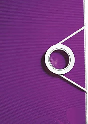 Segregator Leitz A4 75mm violetinė (11060062)