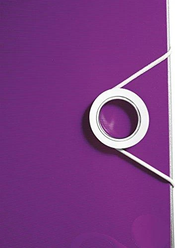 Segregator Leitz A4 75mm violetinė (11060062)