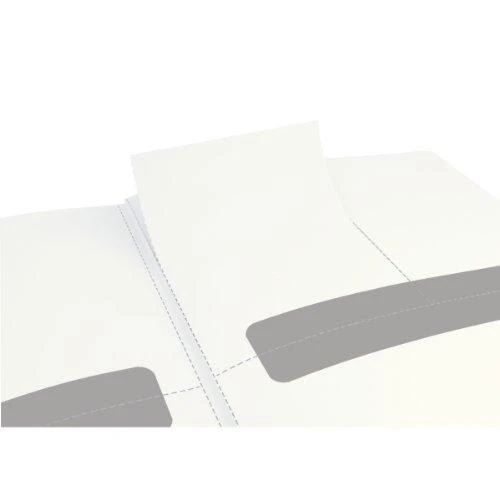 Užrašų knygelė LEITZ COMPLETE Ipad dydžio, 80 lapų, langeliai