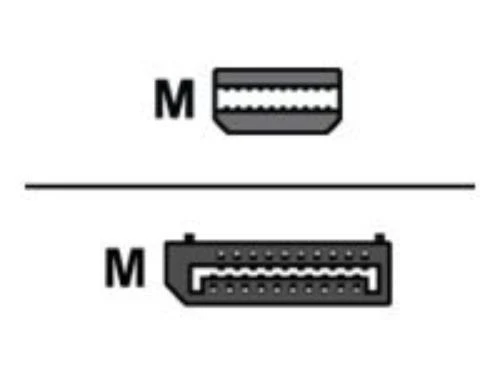 Mini-DisplayPort ir DisplayPort jungčių palyginimas