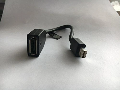 Lenovo | Mini-DisplayPort į DisplayPort adapteris | Mini-DisplayPort | DisplayPort