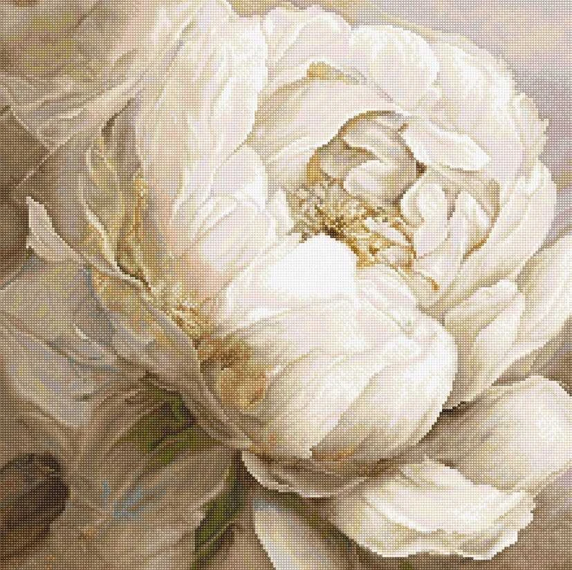 LetiStitch luca S Skaičiuojamo kryžminio dygsnio rinkinys „Peony Poses“ 35x35cm SLETIL8083