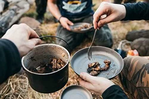 Lifeventure Titanium Spork 17 g titaninis šaukštas-šakutė