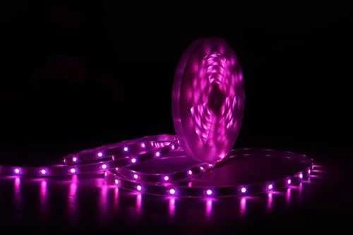 Lite bulb moments - Smart Atsparus vandeniui LED strip 5M RGBW