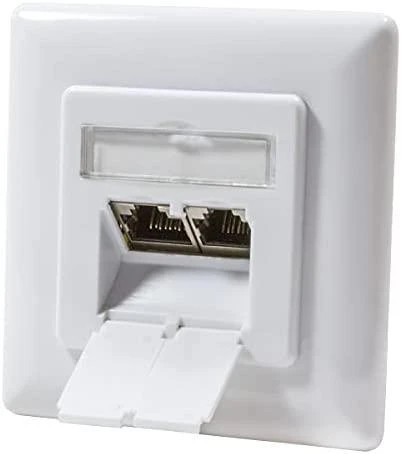 LogiLink LogiLink Cat.6A Anschlussdose, 2x RJ45,baltas, waagerecht - NP0123