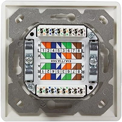LogiLink LogiLink Cat.6A Anschlussdose, 2x RJ45,baltas, waagerecht - NP0123