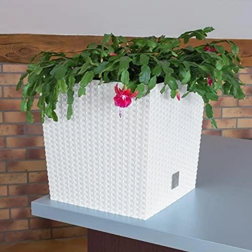 Prosperplast Vazonas RATO Baltas, 32x32 cm