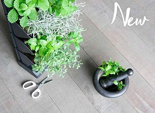 Prosperplast Vertikalus sodo stovas Mini Cascade antracitas