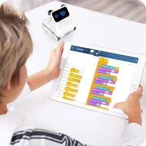 MakeBlock Codey Rocky - programuojamas edukacinis robotas