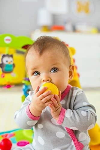 FISHER PRICE lavinamasis kilimėlis Toddler Play Zone, CCB70