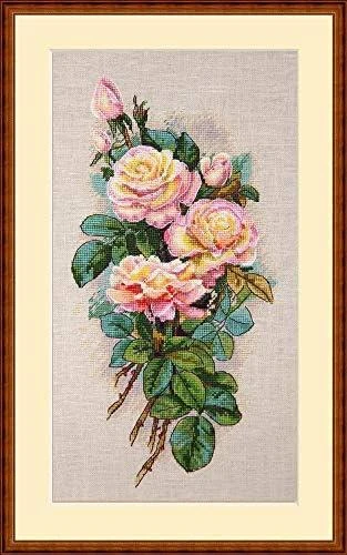Merejka Vintage Roses SK67B Belfast 32