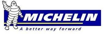 Michelin Padangos Anakee Wild Rear TT 66 S