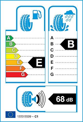 Michelin Padangos Pilot Alpin 5 95 V XL (D B A 68dB)