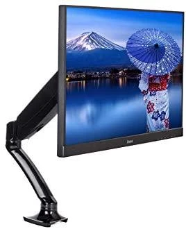 iiyama DS3001C-B1 monitoriaus laikiklis arba stovas 68,6 cm (27") Gnybtas Juoda