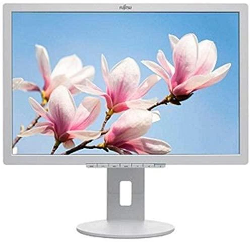 Monitorius FUJITSU 22" B22-8 WE NEO MARBLE Pilkas (FHD/16:10/HAS/PIVOT/DP/DVI/VGA/AUDIO)