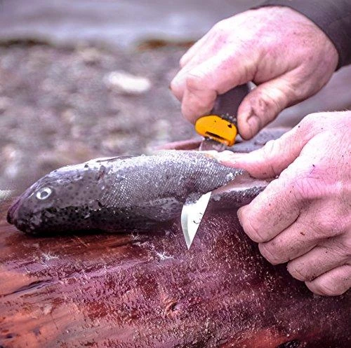 Morakniv® Companion (S) peilis, juodas, nerūdijantis plienas