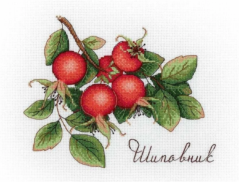 Vulcan Siuvinėjimo rinkinys SNV-630