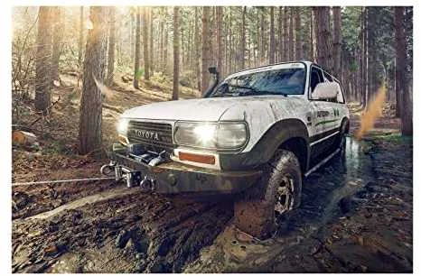 MSW Visureigio automobilio gervė su nuotolinio valdymo pulteliu, 15 m lynas, 2040 kg skriemulys + 4 T blokas
