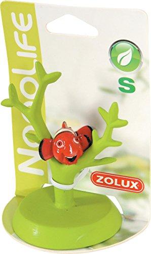 Zolux Clownfish ornament S įvairių spalvų