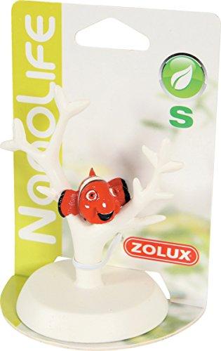 Zolux Clownfish ornament S įvairių spalvų