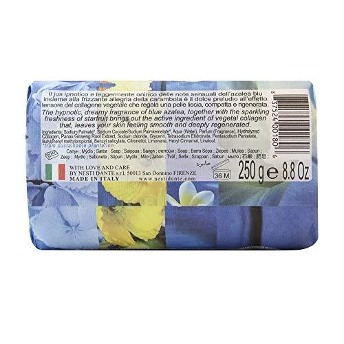 NESTI DANTE PHILOSOPHIA COLLAGEN muilas, 250 g
