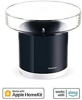 Netatmo išmanusis lietaus matuoklis
