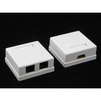 NETRACK 106-21 Netrack sukomplektuotas ant paviršiaus montuojamas lizdas 2xRJ45 8p8c UTP Cat6 LSA