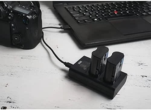 Newell DL-USB-C dviejų kanalų įkroviklis skirtas AABAT-001