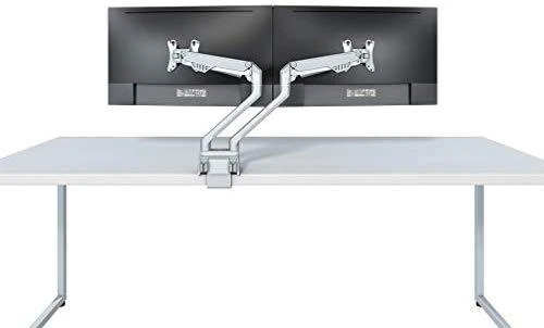 NEWSTAR FPMA-D750DSILVER stalinis laikiklis