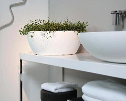 Nicoli ø60x24cm dubuo Thetis 60 baltos spalvos