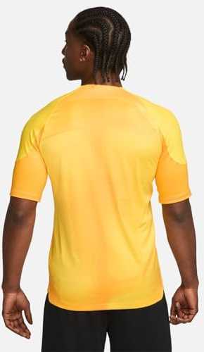 Vyriški marškinėliai Nike Dri-FIT Adv Gardien IV GK Jsyss geltona DH7760 719 (M)