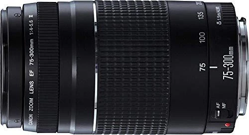 „Canon“ 75–300 mm f/4,0–5,6 EF DC III objektyvas