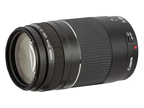 „Canon“ 75–300 mm f/4,0–5,6 EF DC III objektyvas