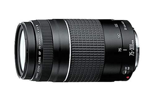 „Canon“ 75–300 mm f/4,0–5,6 EF DC III objektyvas