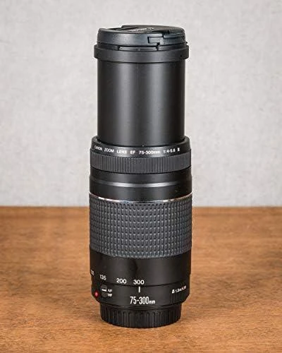 „Canon“ 75–300 mm f/4,0–5,6 EF DC III objektyvas