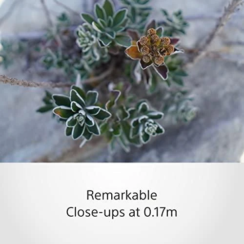Objektyvas Sony E 15mm F1.4 G (Juodas) | (SEL15F14G)
