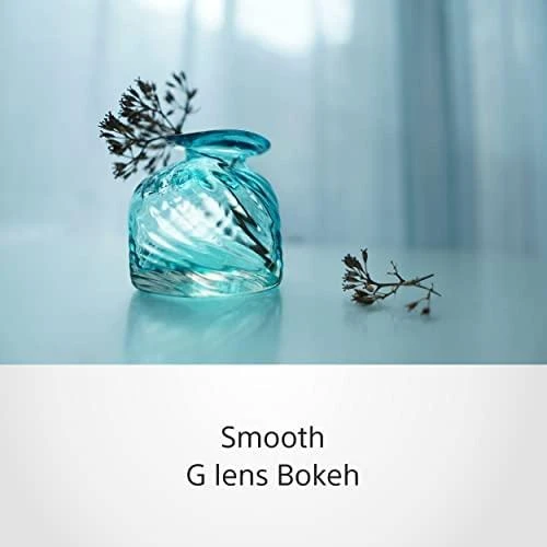 Objektyvas Sony E 15mm F1.4 G (Juodas) | (SEL15F14G)