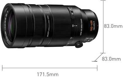 Objektyvas Panasonic Lumix G Lens 100-400mm LEICA F4.0-6.3 II