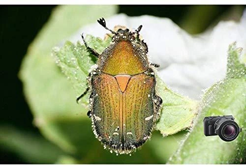 Objektyvas Raynox DCR-250 makro konverteris