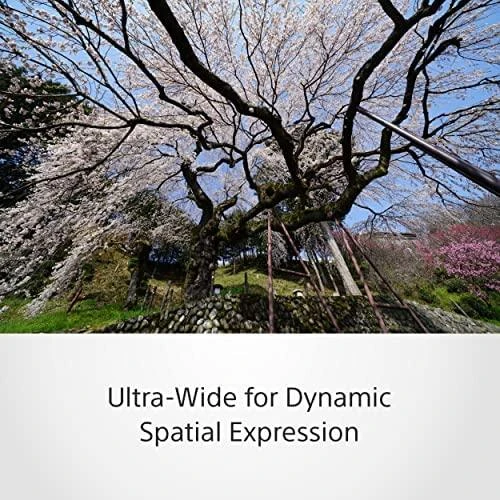 Sony FE 12-24mm F4 G MILC „Ultra“ platus objektyvas Juoda
