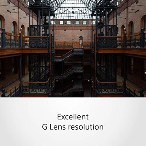 Sony SEL1655G SLR Standartinio priartinimo objektyvas Juoda