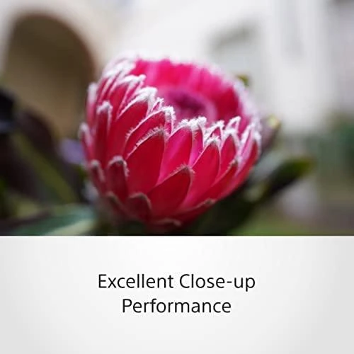 Sony FE 20 mm F1.8 G MILC „Ultra“ platus objektyvas Juoda