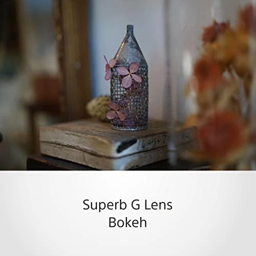 Objektyvas Sony | 50 mm F2.5 G