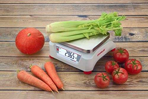 Virtuvinės svarstyklės OHAUS Valor™ 1000 V12P3 EU compact scale